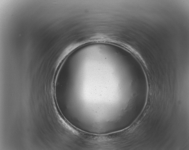 X0000080131239200612151730