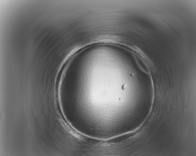 X0000080131240200612151730