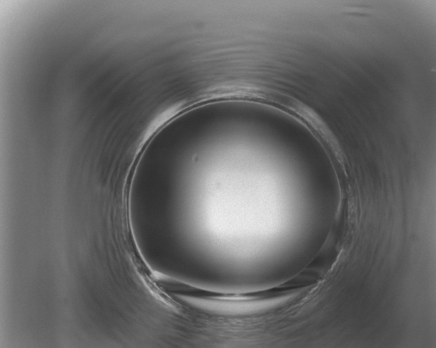 X0000080131242200612151730