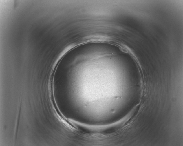 X0000080131243200612151730