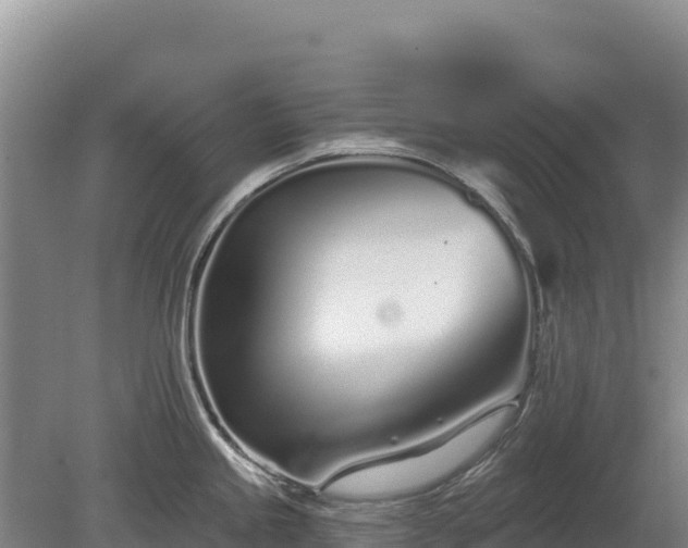 X0000080131245200612151730