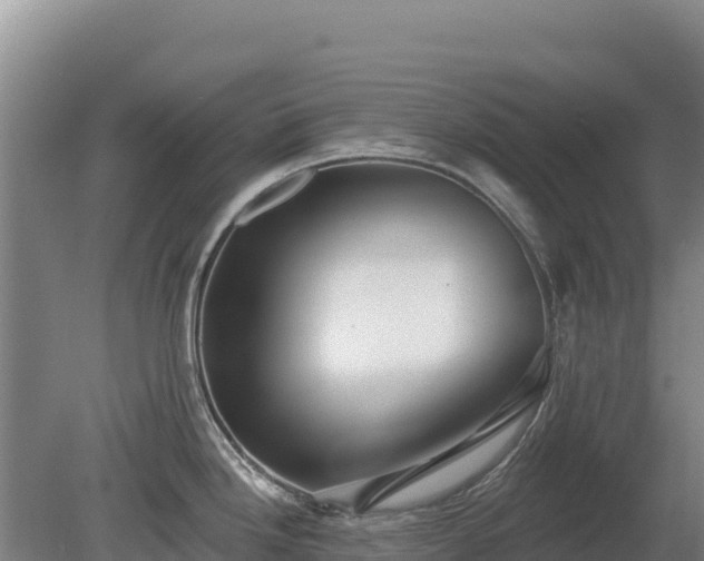 X0000080131246200612151730