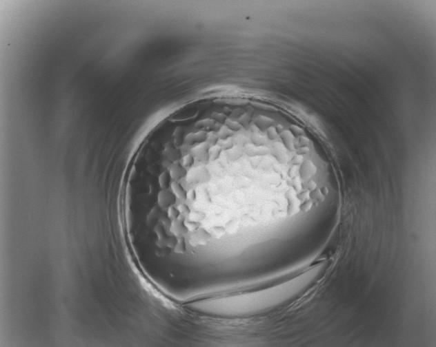 X0000080131247200612151730