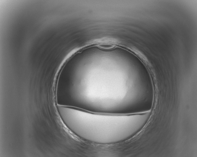 X0000080131248200612151730