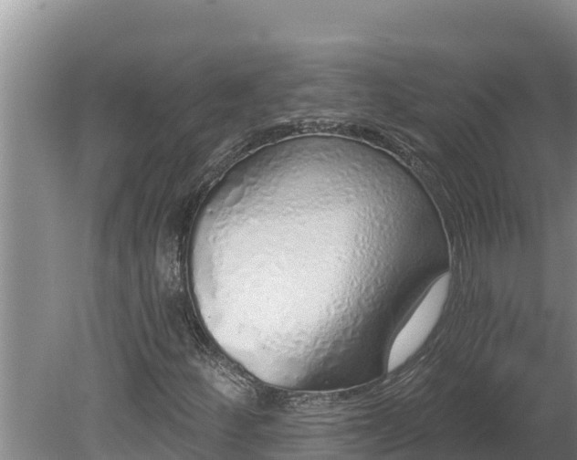 X0000080131252200612151729