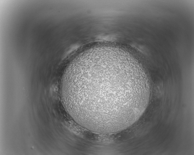 X0000080131254200612151729