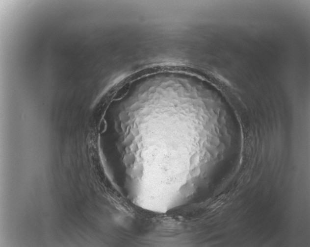 X0000080131255200612151729