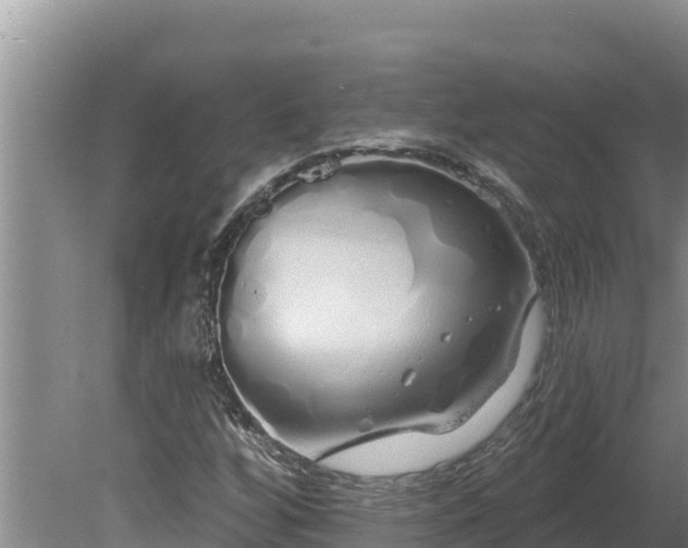 X0000080131256200612151729