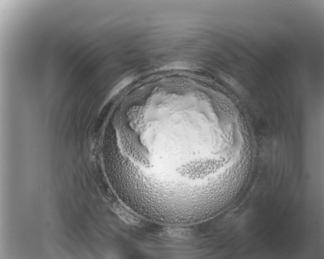 X0000080131258200612151729