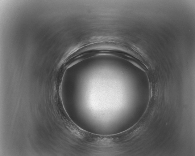 X0000080131261200612151729