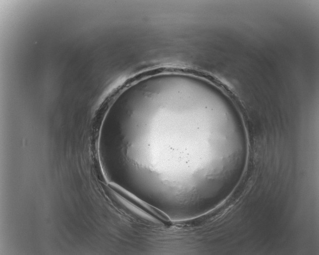 X0000080131263200612151729