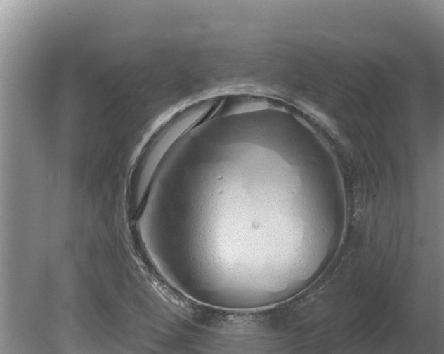 X0000080131264200612151729