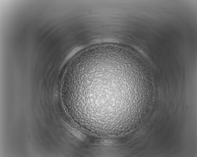 X0000080131266200612151729