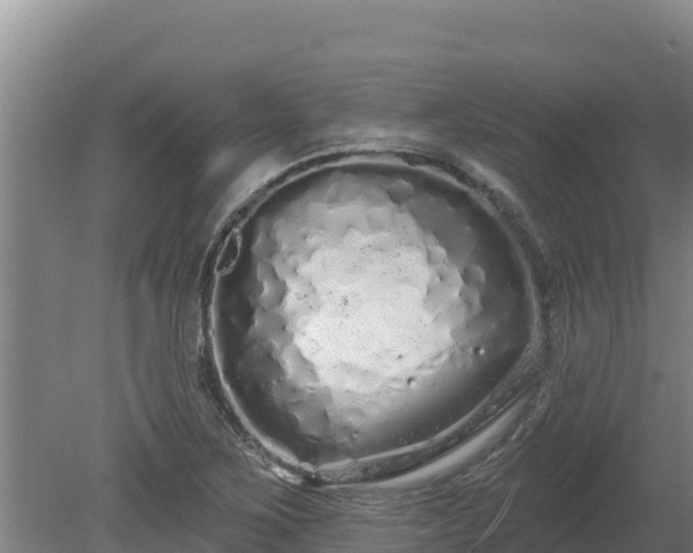 X0000080131267200612151729