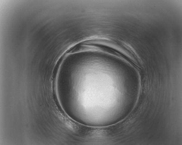 X0000080131268200612151729