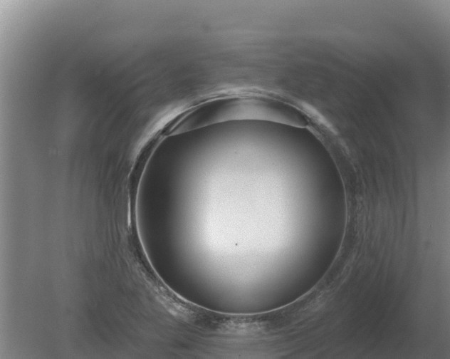 X0000080131269200612151729