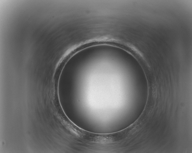 X0000080131270200612151729