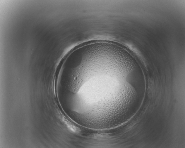 X0000080131272200612151729