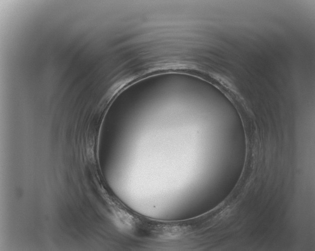 X0000080131273200612151729