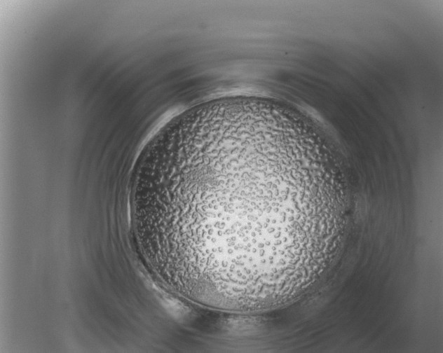 X0000080131274200612151729