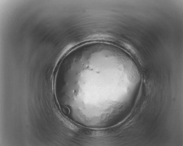 X0000080131275200612151729