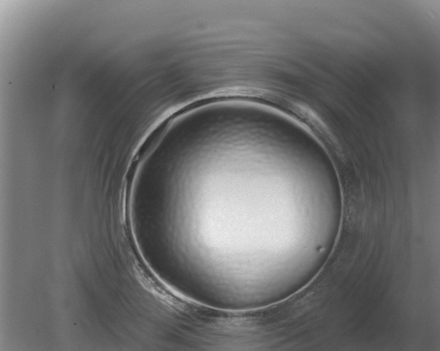 X0000080131276200612151729