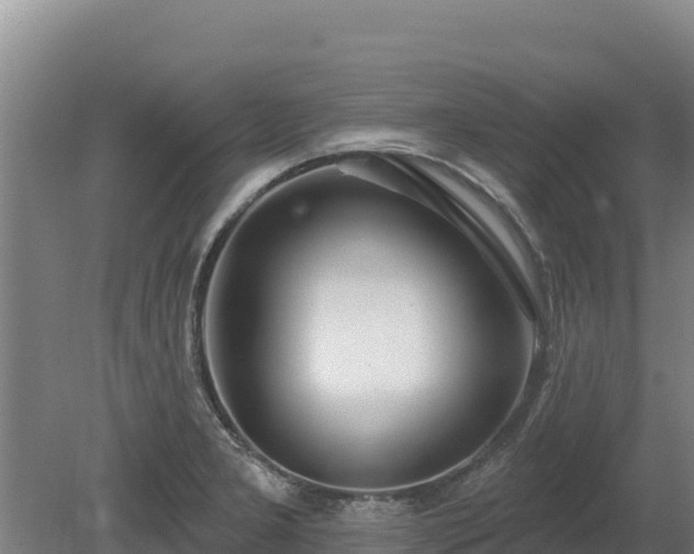 X0000080131277200612151729