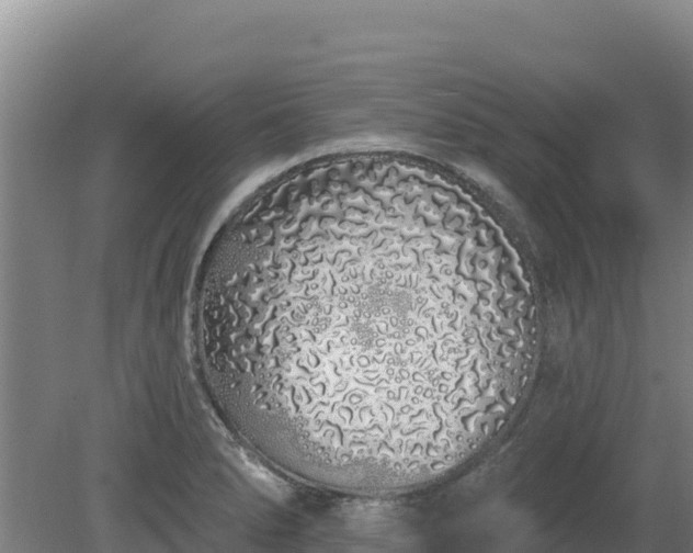 X0000080131278200612151729