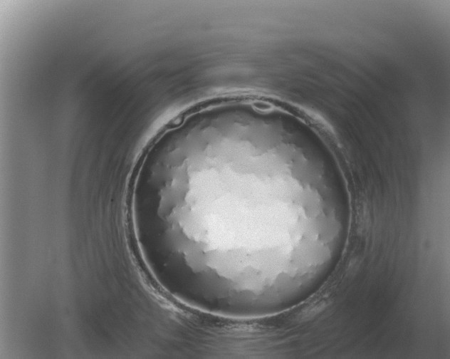 X0000080131279200612151729