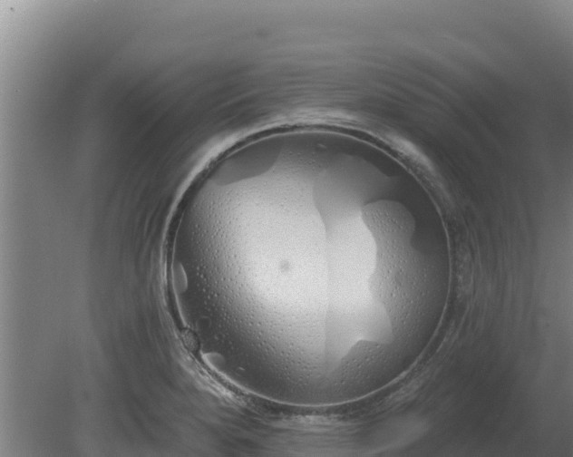 X0000080131280200612151729