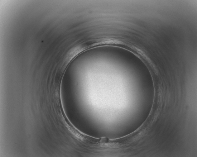 X0000080131281200612151729