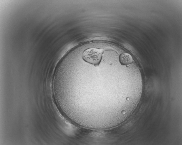 X0000080131282200612151729