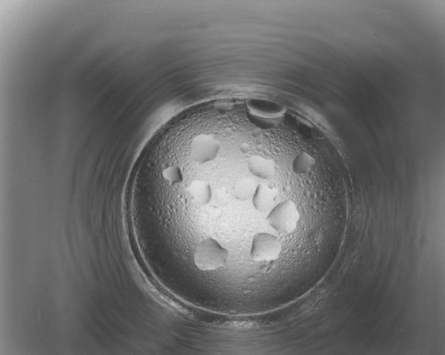 X0000080131283200612151729