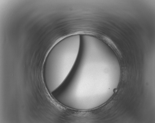 X0000080131284200612151729