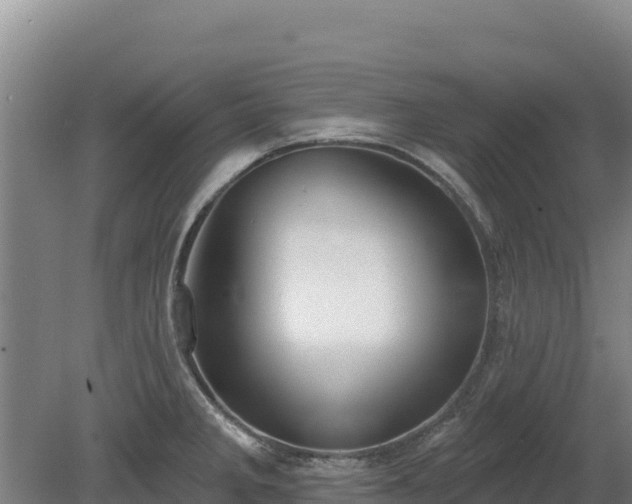 X0000080131285200612151729