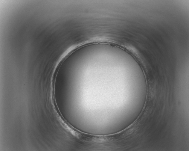 X0000080131286200612151729