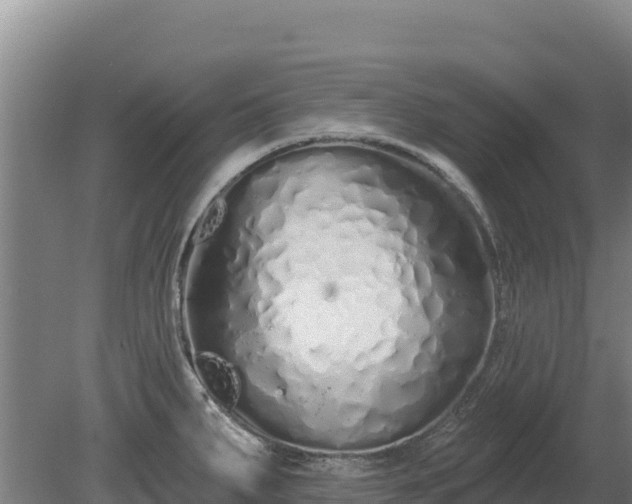 X0000080131287200612151729