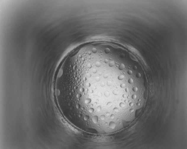 X0000080131288200612151729