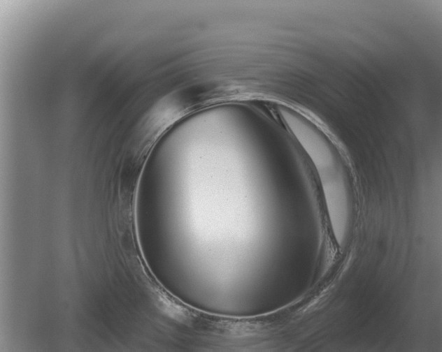 X0000080131289200612151729