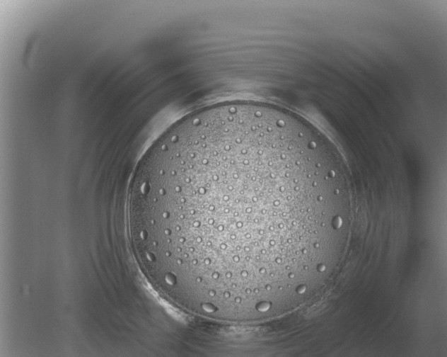 X0000080131290200612151729