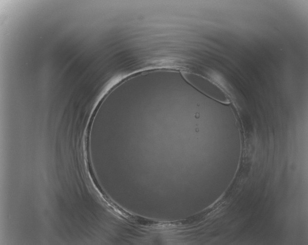 X0000080131291200612151729