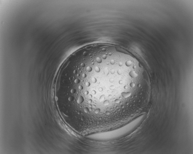 X0000080131292200612151729