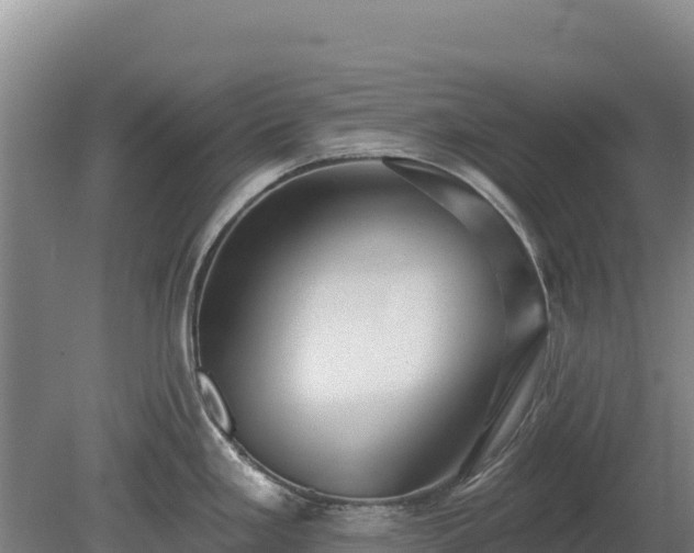 X0000080131293200612151729