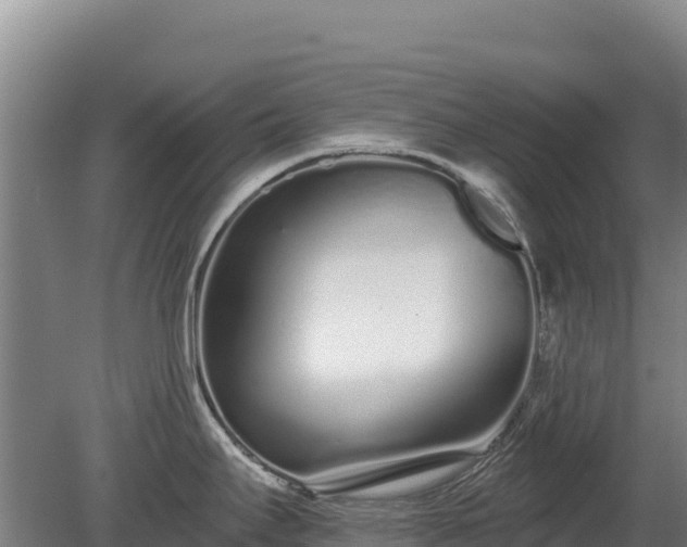 X0000080131295200612151729