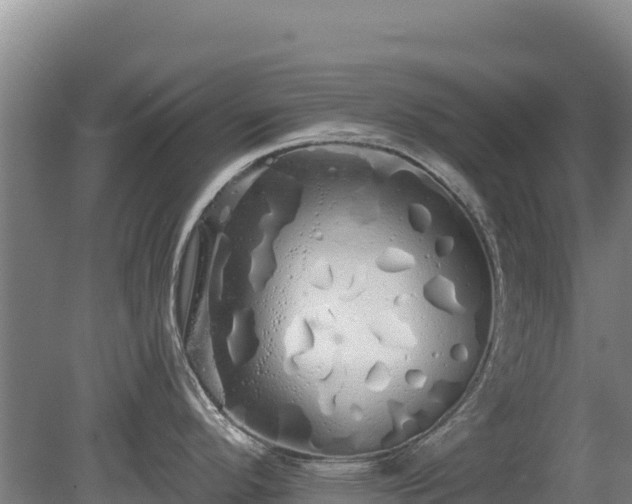 X0000080131296200612151729