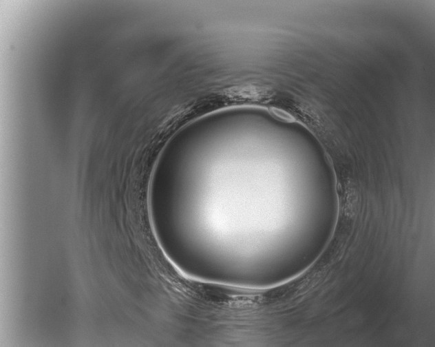 X0000080131297200612151728