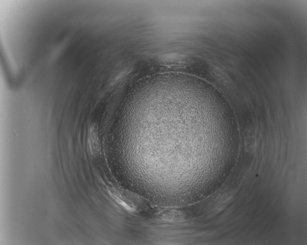 X0000080131298200612151728