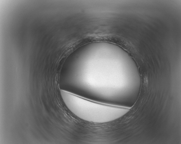 X0000080131300200612151728