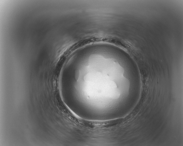 X0000080131302200612151728