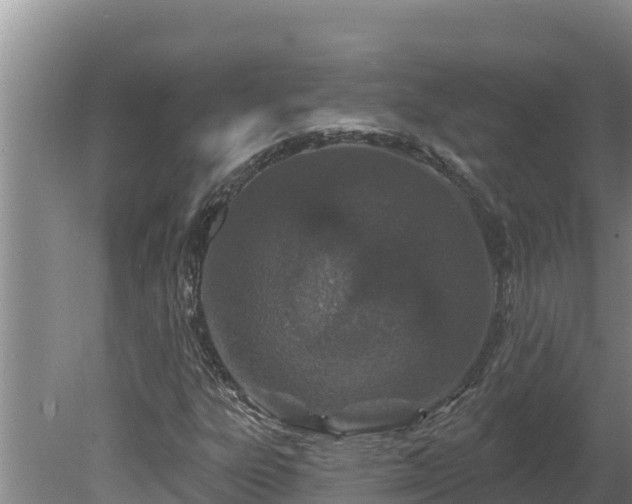 X0000080131303200612151728